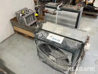 Kaloiferer Gea og Sonniger 4 styk