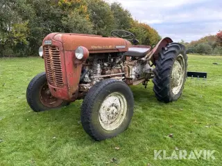 Veteran Traktor Massey Ferguson 35 Guldfugl med aflæsservogn og plov