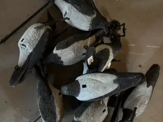 Jagt skydepram og lokker. 