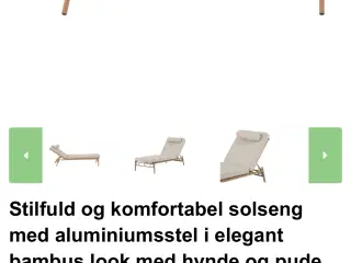 Solvogn