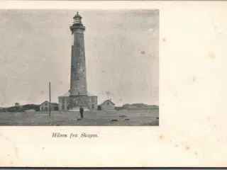 Hilsen fra Skagen - Postkort - Ubrugt