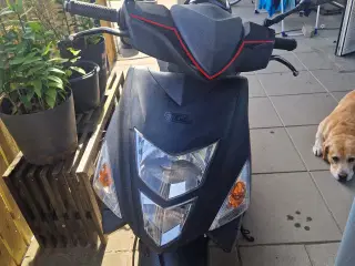 30" scooter tgb bullet