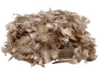 Perlehønsfjer, natur, 50g/ 1 pk.