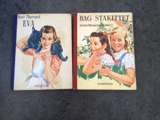Gamle ungdomsbøger