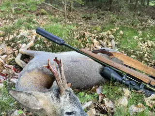 Lyddæmper Nielsen Sonic Paradox 45