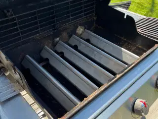 Weber Gasgrill Genesis II