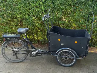 Lad cykel el