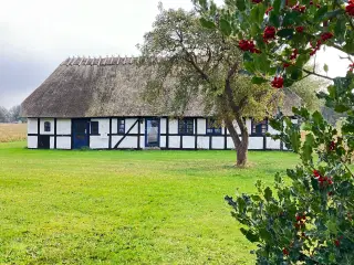 Sommerhus på Drejø