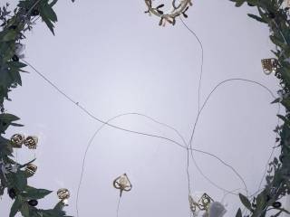 Juleophæng