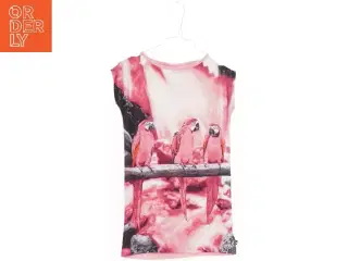 T-shirt med papegøjemotiv fra Royal Rebels (str. 104)