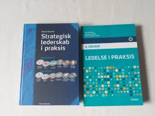 Strategisk Ledelse og Ledelse i praksis