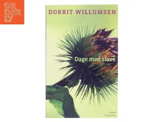 Dage med slave : roman af Dorrit Willumsen (Bog)