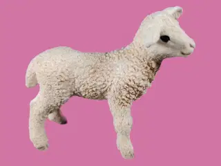 Schleich 13883 Lamb (2019)