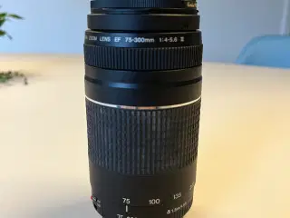 Canon EF 75-300mm f/4-5.6 III Teleobjektiv