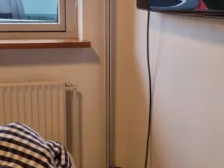 Philips Hue - Signe Gulvlampe
