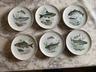Fiske Tallerkner