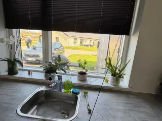 Gardiner med og uden mørklægning 