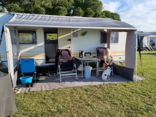 Fiamma Caravanstore XL 410 Markise grau, 415cm, Ro