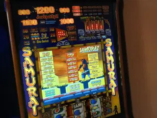 2 fantastiske spilleautomater