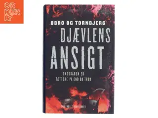 Djævlens ansigt af Jeanette Øbro Gerlow (Bog)