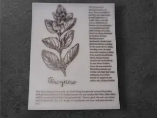 Botaniske papirark med elegant oregano-design Tilf