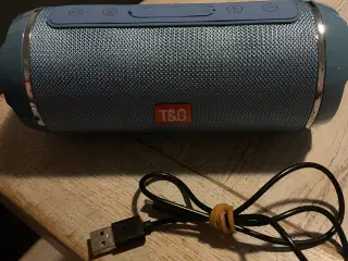 T&G-116 Bluetooth Højtaler