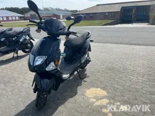 Scooter PGO T-Rex A1 DGM 51476-S