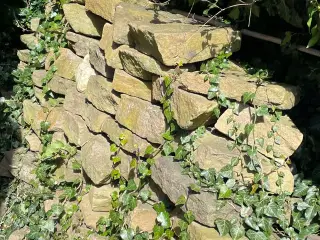 Natursten 
