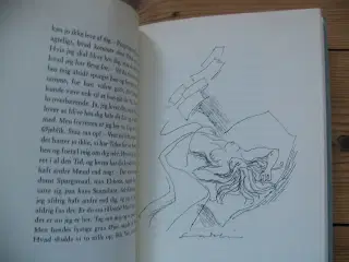 H.C. Branner. Digteren og Pigen
