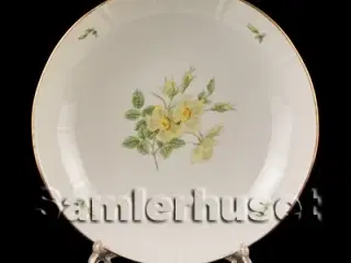 Klitrose Kageskål