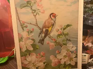 Sødt lille billede 