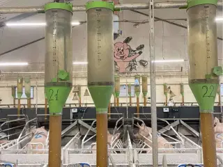 Skiold, Egebjerg og funky foderkasser