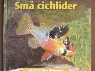 små cichlider, af benny b. larsen og f. ingemann h