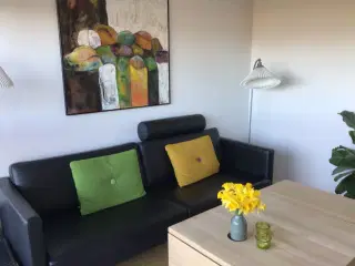 3 personers Skalma design læder sofa