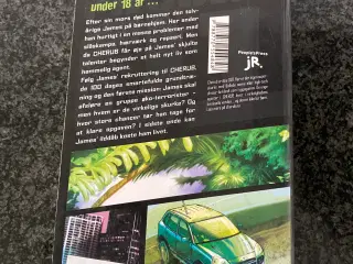 Bogen Ilddåb