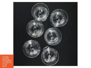 Hvidvinsglas fra Lyngby glas (str. 17 cl 6 stk)