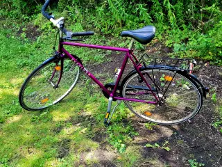 SCO Everton Voice cykel
