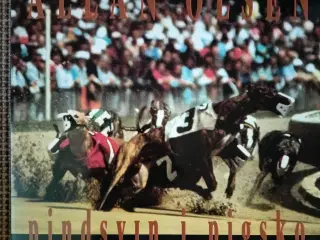 Allan Olsen - Pindsvin i Pigsko 