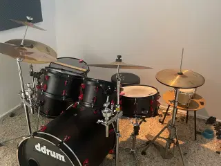 Ddrum 6 kit hybrid