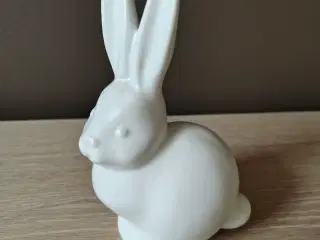 Flot Klyhn Design kanin