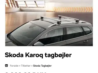 Tagbøjler Skoda Karoq