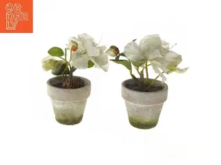 Dekorative blomster i potte (str. 17 cm)