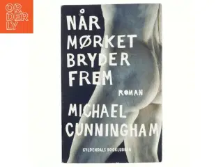 Når mørket bryder frem af Michael Cunningham (Bog)