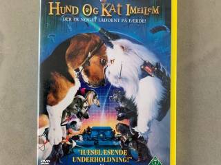 Hund og kat imellem