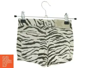 Shorts fra Molo (NUM) (str. 110 cm)