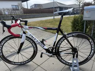 Rigtig lirens carbonracer