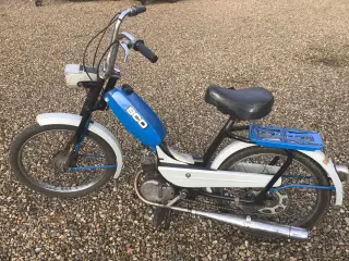 SCO knallert veteran