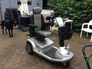El scooter pegasus 