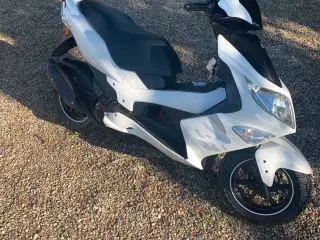  Pgo g max 30 km 