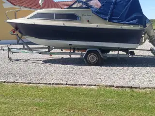 Shetland black hawk 19